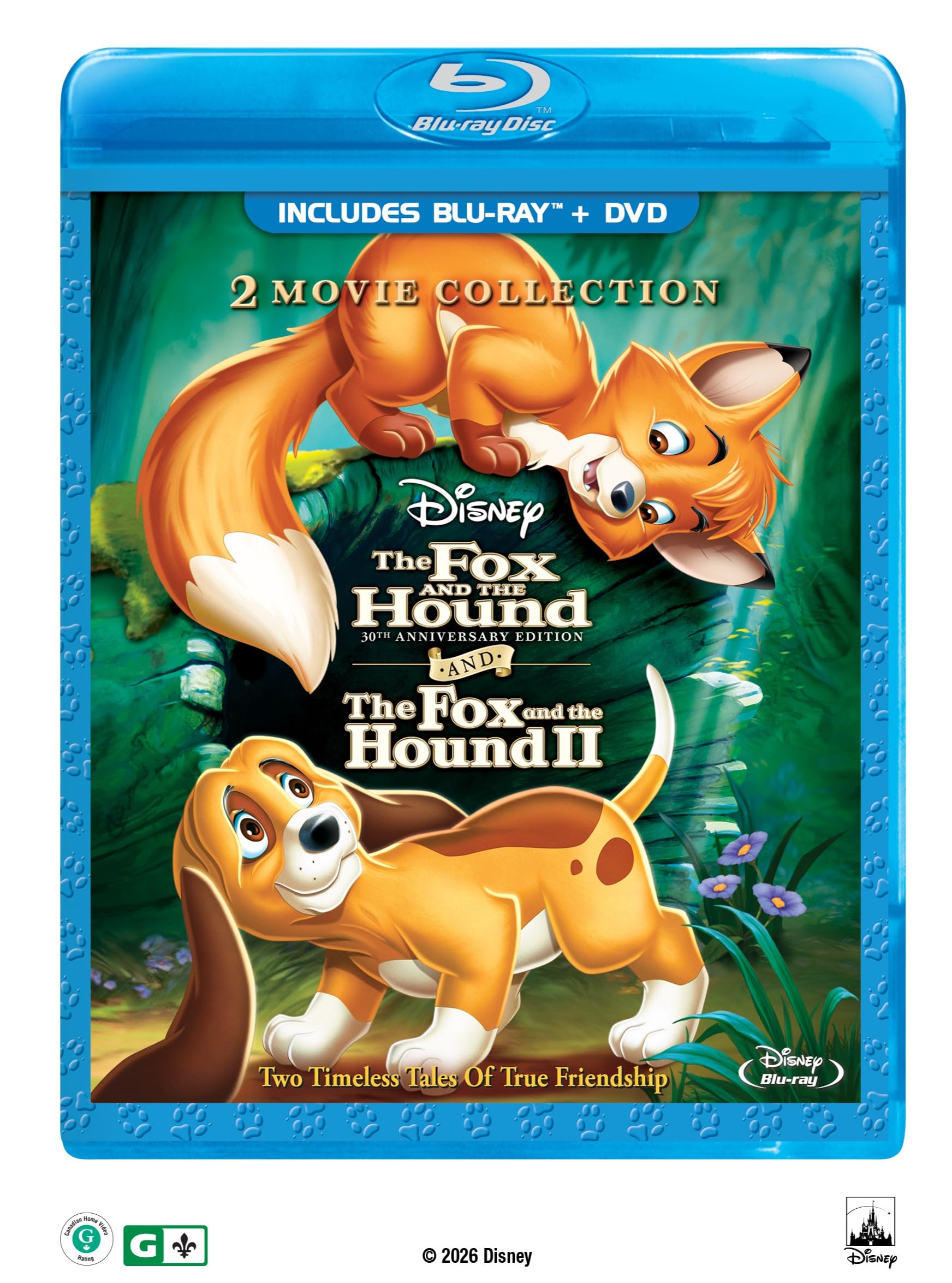 Fox and the Hound